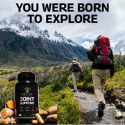 Native Source Joint Support Supplement